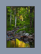 View on Pumphouse Creek